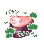 すしにゃにゃスタンプ（個別スタンプ：6）