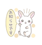毎日使えるかわいい敬語☆うさぎ（個別スタンプ：1）
