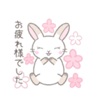 毎日使えるかわいい敬語☆うさぎ（個別スタンプ：4）