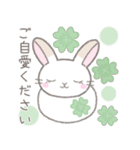 毎日使えるかわいい敬語☆うさぎ（個別スタンプ：37）