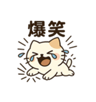 ニャんちゃって日常（個別スタンプ：5）