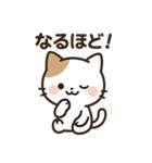ニャんちゃって日常（個別スタンプ：16）