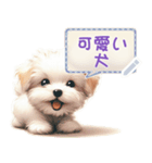 可愛い犬のメッセージ（個別スタンプ：1）