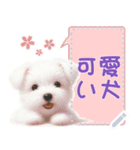 可愛い犬のメッセージ（個別スタンプ：12）