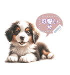 可愛い犬のメッセージ（個別スタンプ：14）