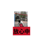 平均IQ下回ってるやつら（個別スタンプ：2）