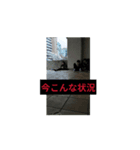 平均IQ下回ってるやつら（個別スタンプ：6）