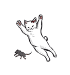志保ちゃん3(無理矢理二足歩行猫)（個別スタンプ：4）