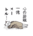 志保ちゃん3(無理矢理二足歩行猫)（個別スタンプ：19）