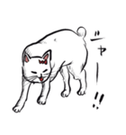 志保ちゃん3(無理矢理二足歩行猫)（個別スタンプ：22）