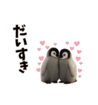 恋愛カップル 彼氏との会話用 動物スタンプ（個別スタンプ：2）
