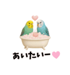 恋愛カップル 彼氏との会話用 動物スタンプ（個別スタンプ：3）