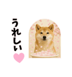 恋愛カップル 彼氏との会話用 動物スタンプ（個別スタンプ：4）