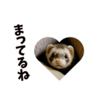 恋愛カップル 彼氏との会話用 動物スタンプ（個別スタンプ：6）