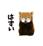 恋愛カップル 彼氏との会話用 動物スタンプ（個別スタンプ：8）