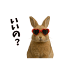 恋愛カップル 彼氏との会話用 動物スタンプ（個別スタンプ：9）