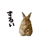 恋愛カップル 彼氏との会話用 動物スタンプ（個別スタンプ：12）