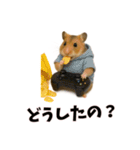 恋愛カップル 彼氏との会話用 動物スタンプ（個別スタンプ：13）