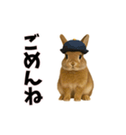 恋愛カップル 彼氏との会話用 動物スタンプ（個別スタンプ：16）