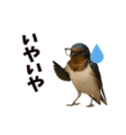 恋愛カップル 彼氏との会話用 動物スタンプ（個別スタンプ：17）