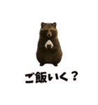 恋愛カップル 彼氏との会話用 動物スタンプ（個別スタンプ：21）