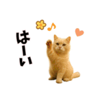 恋愛カップル 彼氏との会話用 動物スタンプ（個別スタンプ：24）