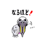 干支、酉（鳥とり）鶏（個別スタンプ：36）