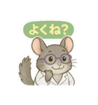 INTP（論理学者）チンチラの研究室（個別スタンプ：3）