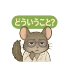 INTP（論理学者）チンチラの研究室（個別スタンプ：5）