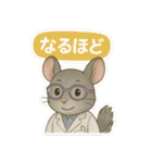 INTP（論理学者）チンチラの研究室（個別スタンプ：16）