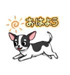 可愛すぎる❗【チワワ】日常会話とあいさつ（個別スタンプ：3）