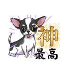 可愛すぎる❗【チワワ】日常会話とあいさつ（個別スタンプ：19）