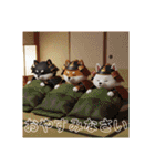 5月は鎧、兜、鯉のぼりのチビ豆柴シリーズ（個別スタンプ：20）