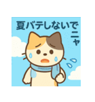 かわいいネコ♪夏編（個別スタンプ：10）