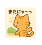 かわいいネコ♪夏編（個別スタンプ：19）