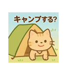 かわいいネコ♪夏編（個別スタンプ：27）