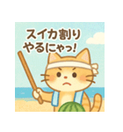 かわいいネコ♪夏編（個別スタンプ：30）