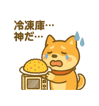 柴犬ぺこたろうの晩ごはんセレクター vol.1（個別スタンプ：3）