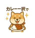 柴犬ぺこたろうの晩ごはんセレクター vol.1（個別スタンプ：5）