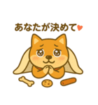 柴犬ぺこたろうの晩ごはんセレクター vol.1（個別スタンプ：10）