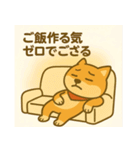 柴犬ぺこたろうの晩ごはんセレクター vol.1（個別スタンプ：13）