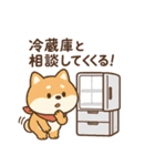 柴犬ぺこたろうの晩ごはんセレクター vol.1（個別スタンプ：16）