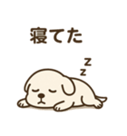 だるそうな白い犬（個別スタンプ：10）