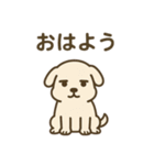 だるそうな白い犬（個別スタンプ：14）