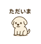 だるそうな白い犬（個別スタンプ：16）