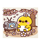 ヒヨコと桜のスタンプ@SFW（個別スタンプ：2）