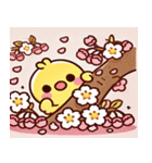 ヒヨコと桜のスタンプ@SFW（個別スタンプ：20）