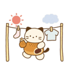 ねこ(ころころへんしんみにちゃんず)（個別スタンプ：37）
