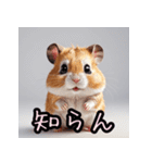 踊る！表情いろいろハムスターンプ（個別スタンプ：17）