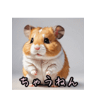 踊る！表情いろいろハムスターンプ（個別スタンプ：31）